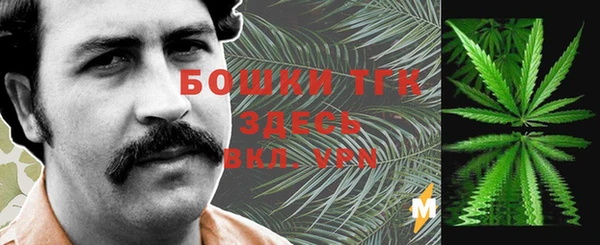 СК Абинск