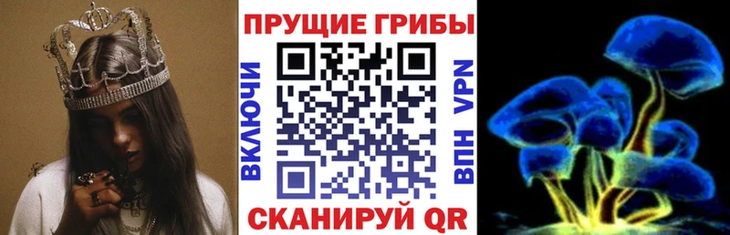 купить наркотики сайты  Избербаш  гидра зеркало  Псилоцибиновые грибы GOLDEN TEACHER 